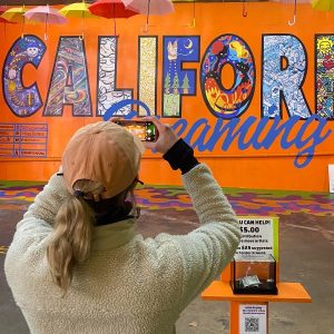 California Dreaming Mural at Umbrella Alley San Francisco